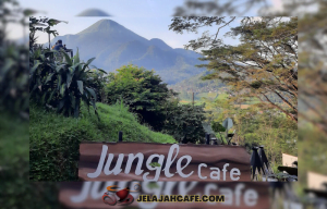 Jungle Cafe