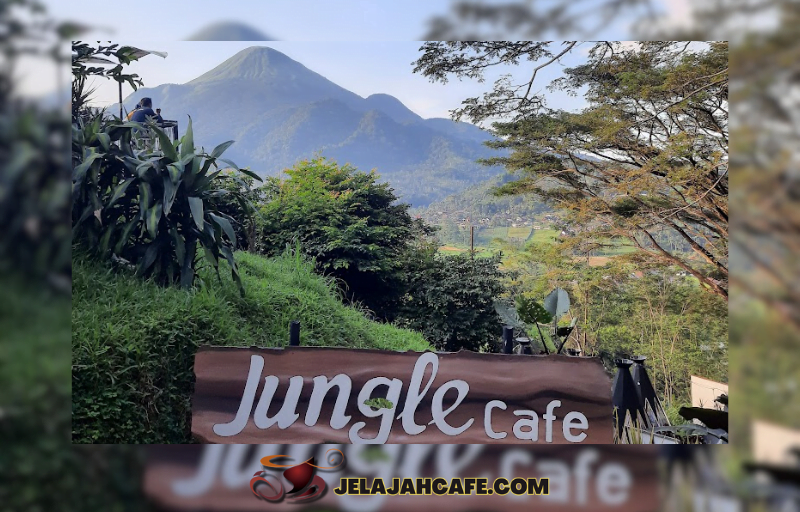 Jungle Cafe