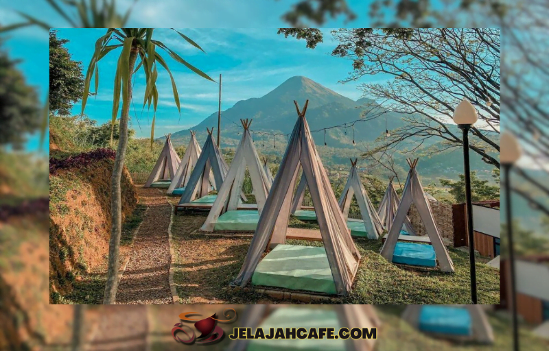 Jungle Cafe
