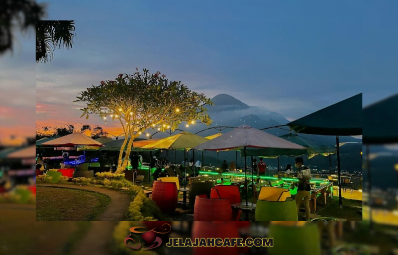 Jungle Cafe
