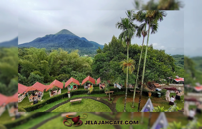 Jungle Cafe: Suasana Hutan Tropis dalam Setiap Sajian