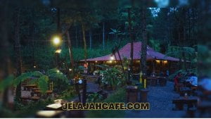 Kedai Hutan Cempaka