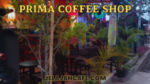 Prima Coffee Shop
