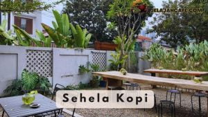 Sehela Kopi