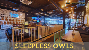 Sleepless Owls
