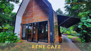 Rene Cafe
