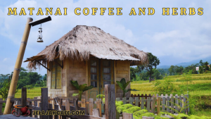 Matanai Coffee and Herbs