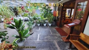 Noah s Barn