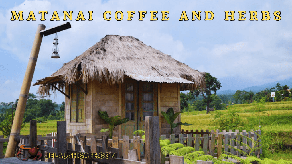 Matanai Coffee and Herbs