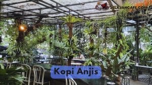 Kopi Anjis