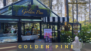 Golden Pine
