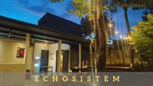 Echosistem Cafe