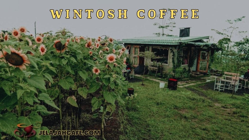 Wintosh Coffee