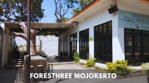 Foresthree